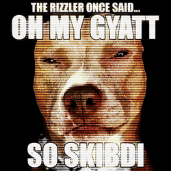 Rizzler Flashing Bully Image GIF