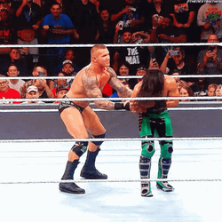 RKO Randy Orton Vs Mustafa GIF