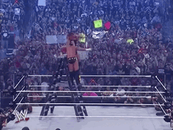 RKO Randy Orton WrestleMania 23 GIF