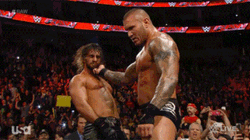 RKO Randy Orton WWE Live GIF