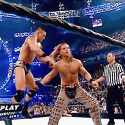 RKO Vs Shawn Michaels GIF