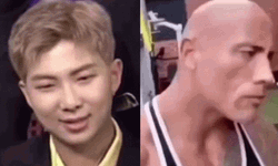 RM And Dwayne Rock Eyebrow GIF