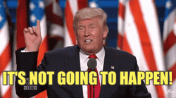 Rnc Candidate Donald Trump Not Gonna Happen GIF