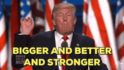 Rnc Donald Trump Bigger Better Stronger GIF