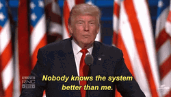 Rnc Donald Trump Knows The System GIF