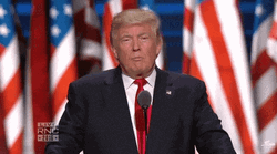 Rnc Donald Trump Shaking Head GIF