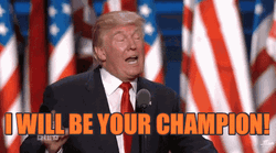 Rnc Donald Trump Your Champion GIF