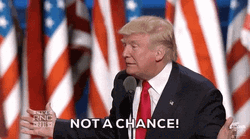 Rnc Presidential Candidate Donald Trump No Chance GIF