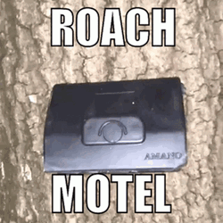 Roach Motel GIF