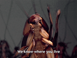 Roach GIF