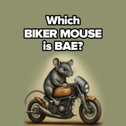 Road Biker Mouse Compilation GIF