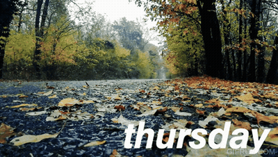Road Covered In Leaves With Thursday GIF