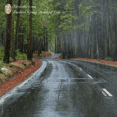 Road In The Rain GIF
