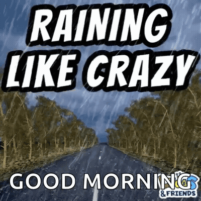 Road Raining Like Crazy GIF