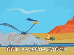 Road Runner Coyote Zoom Zoom GIF