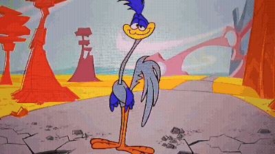 Road Runner Standing On Ground GIF
