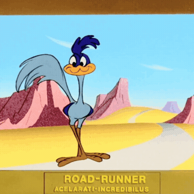 Road Runner Standing On Road GIF