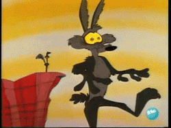 Road Runner Wile E. Coyote  GIF