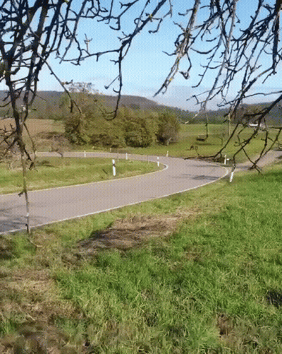 Road Through Grassy Field With Trees On Both Sides GIF