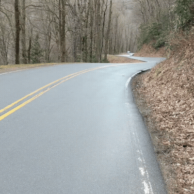 Road Through Woods With Trees On Both Sides GIF