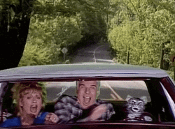 Road Trip Driving Crazy GIF