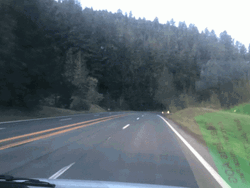 Road Trip Pictures GIF