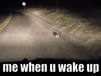 Road With Me When U Wake Up GIF