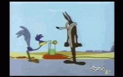 Roadrunner GIF