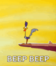 Roadrunner Cliff Beep Beep GIF