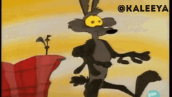 Roadrunner GIF