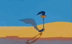 Roadrunner Sprint In Looney Tunes GIF