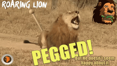 Roaring Lion Poster Saying Pegged GIF