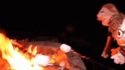 Roasted Marshmallow Campfire Party GIF