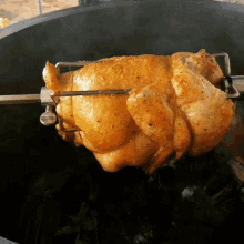 Roasted Plump Chicken Fire Pit GIF