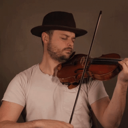Rob Landes Violin GIF