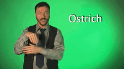 Robert De Mayo Ostrich Hand Gesture GIF