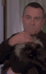 Robert De Niro Petting His Puppy GIF