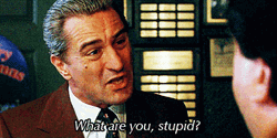 Robert De Niro Questioning Are You Stupid GIF