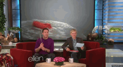 Robert Downey Jr Ellen Degeneres GIF