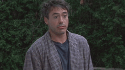 Robert Downey Jr IDK Reaction GIF