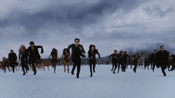 Robert Pattinson Kristen Stewart Fierce Battle GIF