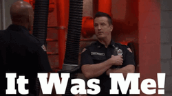 Robert Sullivan Again It Was Me GIF