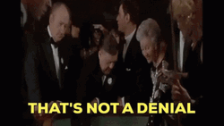 Robert Wuhl Not A Denial  GIF
