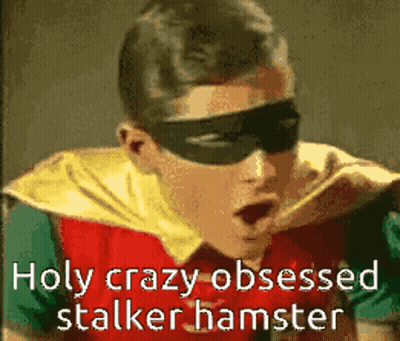 Robin Is Wearing A Mask And Cape And Says Holy Crazy Obsessed Stalker Hamster . GIF