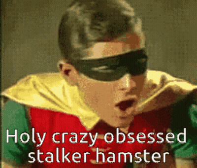 Robin Wearing Mask And Sunglasses Saying Holy Crazy Obsessed Stalker Hamster GIF
