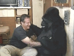 Robin Williams Koko Happy Tears GIF