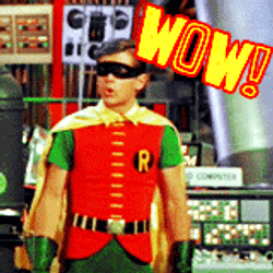 Robin Wow Reaction GIF