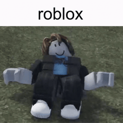 Roblox Erratic Tumbling Meme GIF