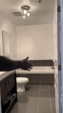 Roblox Robotic Movement Meme GIF