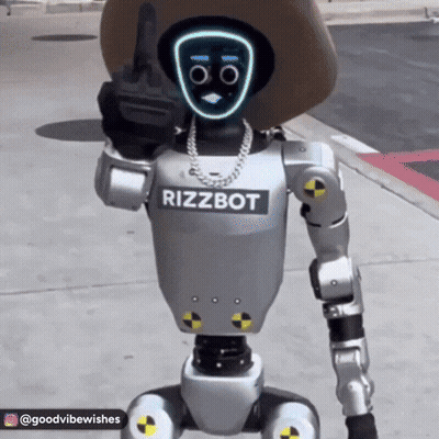 Robot In Cowboy Hat Giving Middle Finger GIF